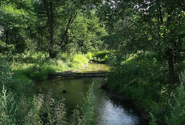 Не бывает случайных встреч. Алексей Русских предложил семье из ЛНР переехать в Ульяновск